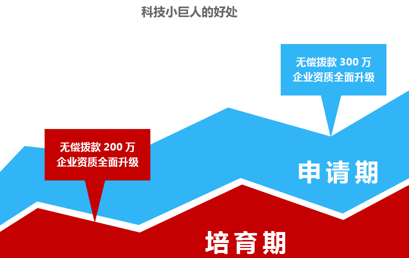 科技小巨人獎勵