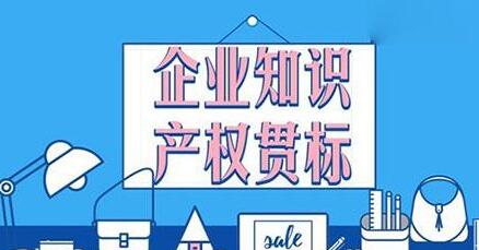 如果沒有內審員，企業還能進行貫標認證嗎？